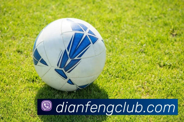 巅峰国际平台生态图